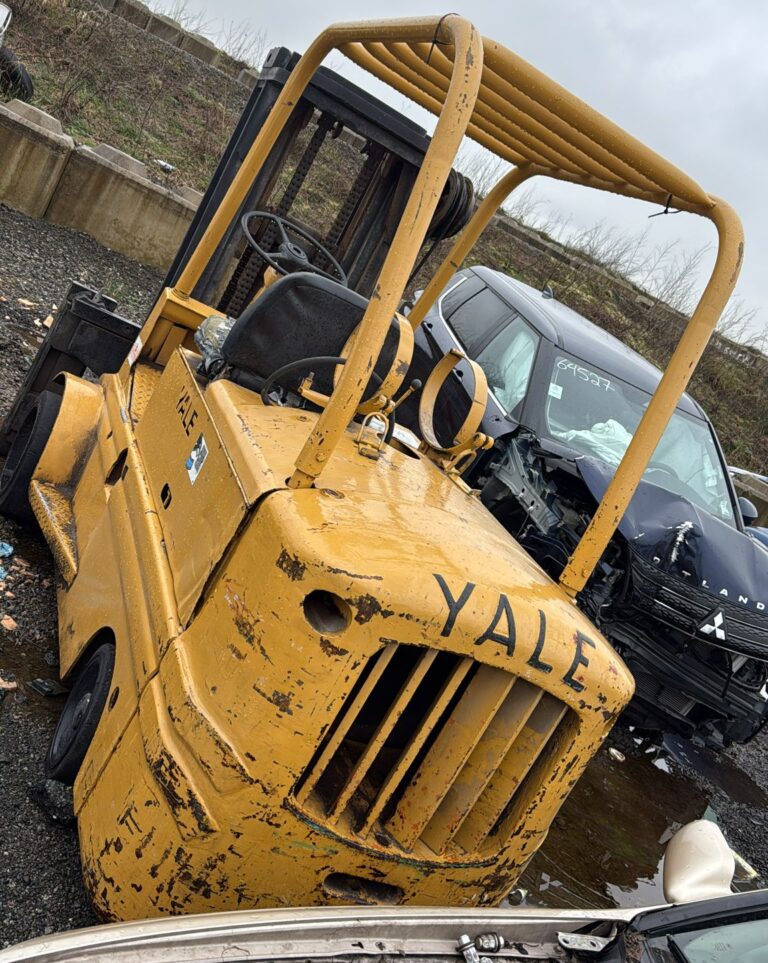 WhatsApp Image 2026-03-17 at 3.02.58 PM